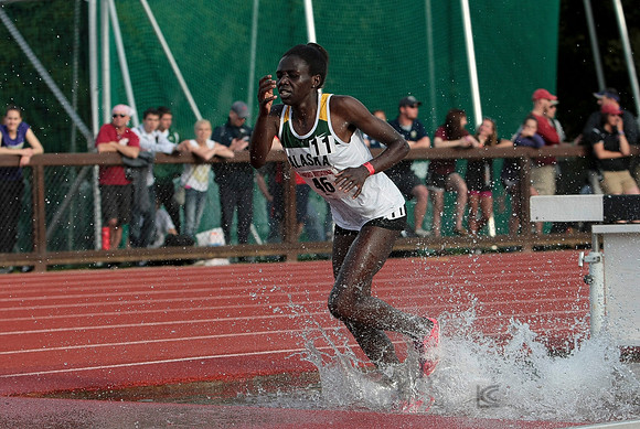 Track and Field: Stanford Invitational