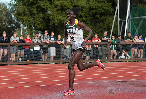 Track and Field: Stanford Invitational
