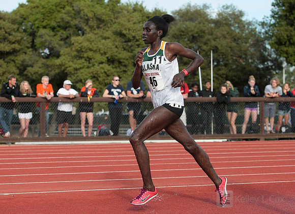 Track and Field: Stanford Invitational