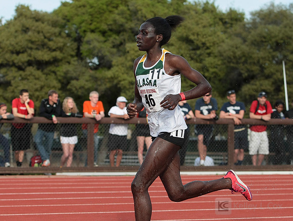 Track and Field: Stanford Invitational