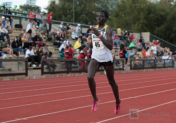 Track and Field: Stanford Invitational