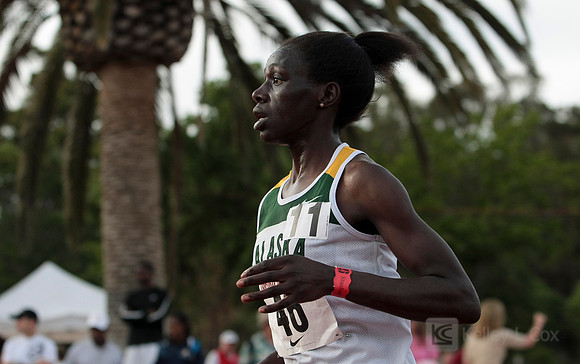 Track and Field: Stanford Invitational