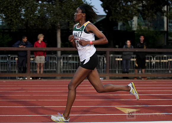 Track and Field: Stanford Invitational