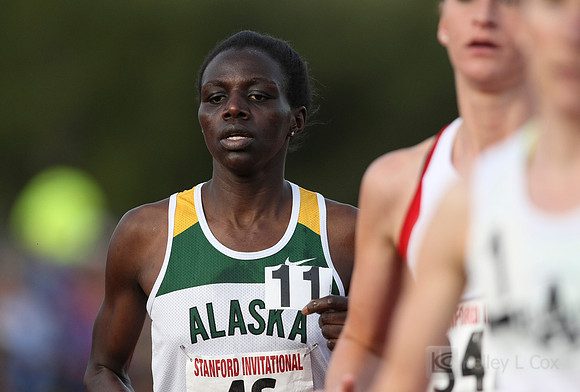 Track and Field: Stanford Invitational
