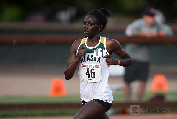 Track and Field: Stanford Invitational