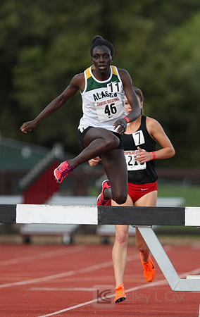 Track and Field: Stanford Invitational
