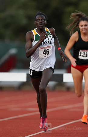 Track and Field: Stanford Invitational