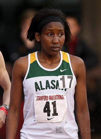 Track and Field: Stanford Invitational