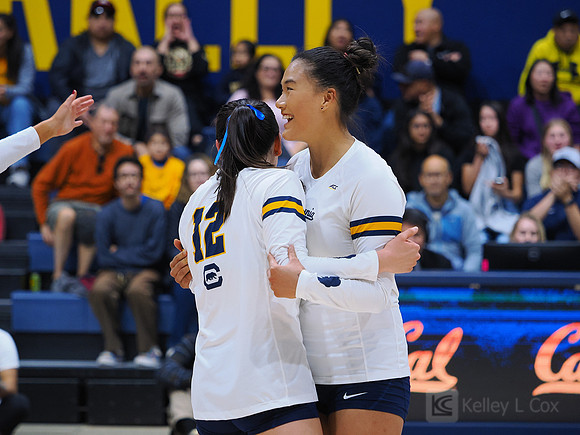 Volleyball: California Golden Bears vs Notre Dame Fighting Irish