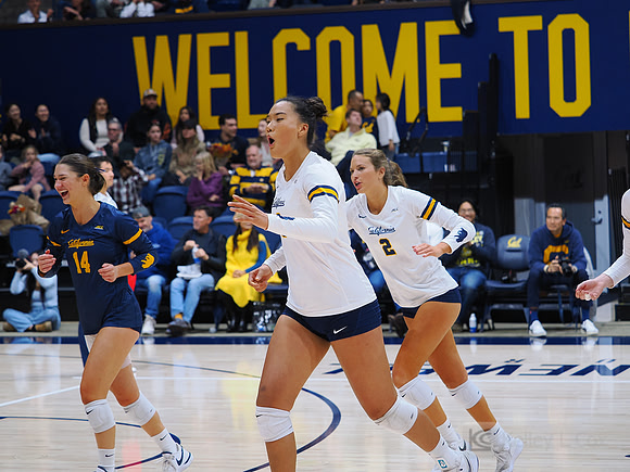 Volleyball: California Golden Bears vs Notre Dame Fighting Irish