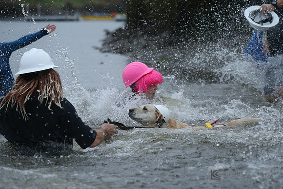 SONC: Polar Plunge Sacramento