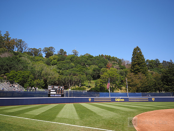 Field