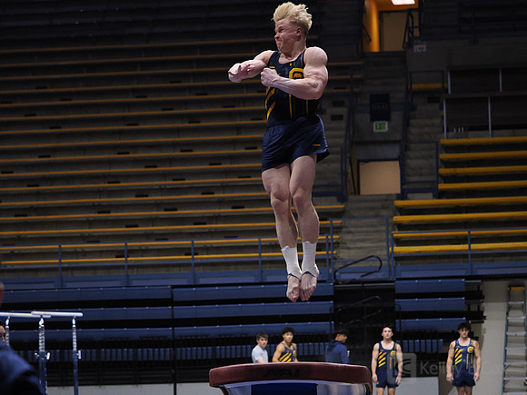 Men’s Gymnastics: California Golden Bears vs Stanford Cardinal
