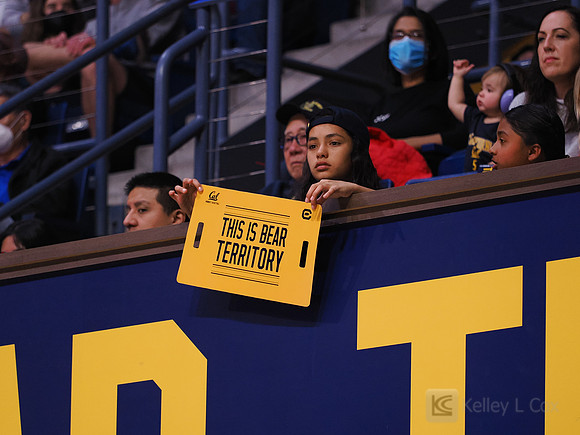 Fans