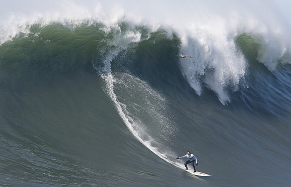 Mavericks 2010