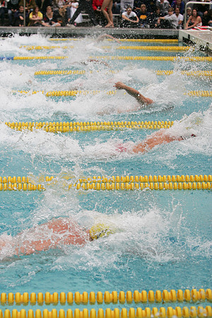 Cal Men's Swimming and Diving vs Stanford