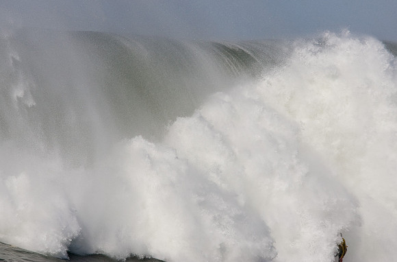 Mavericks 2010