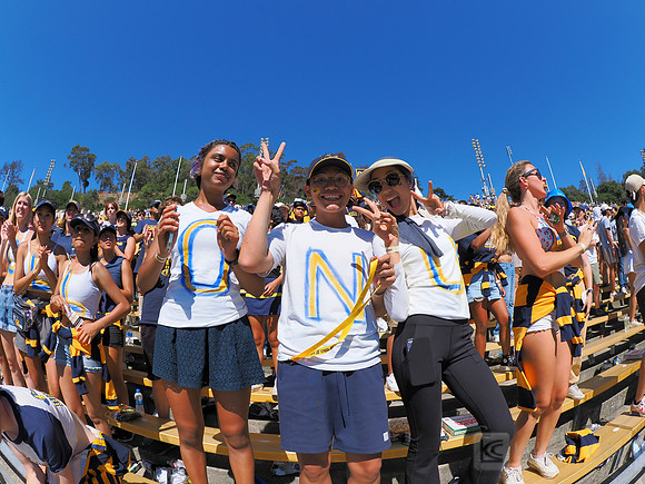 Fans