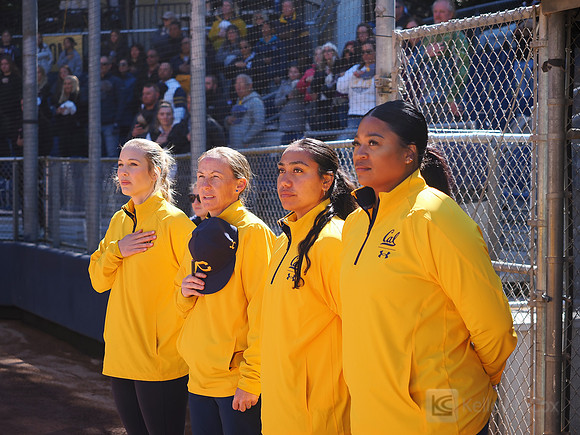 Coaches