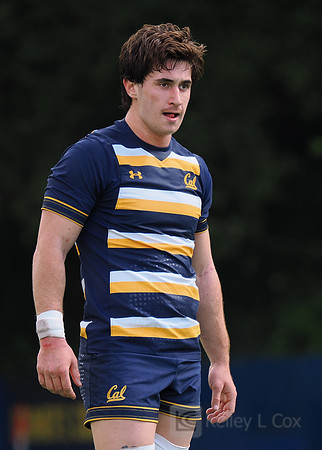 Rugby: California Golden Bears vs Arizona Wildcats