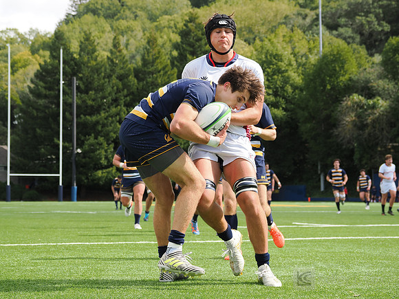 Rugby: California Golden Bears vs Arizona Wildcats
