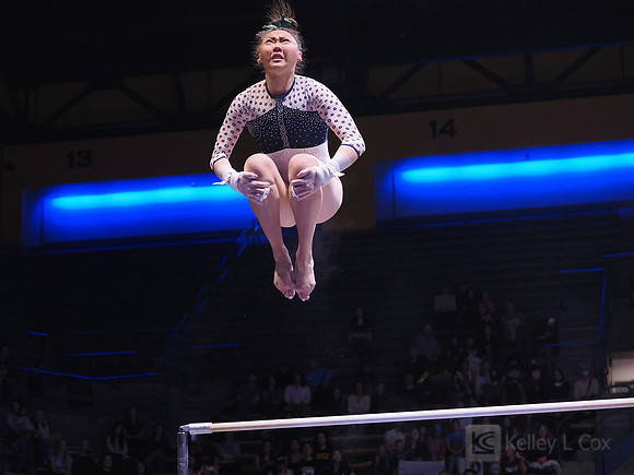 Andi Li