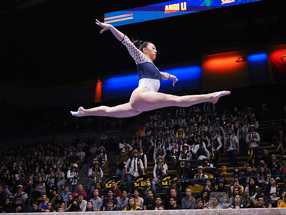 Andi Li