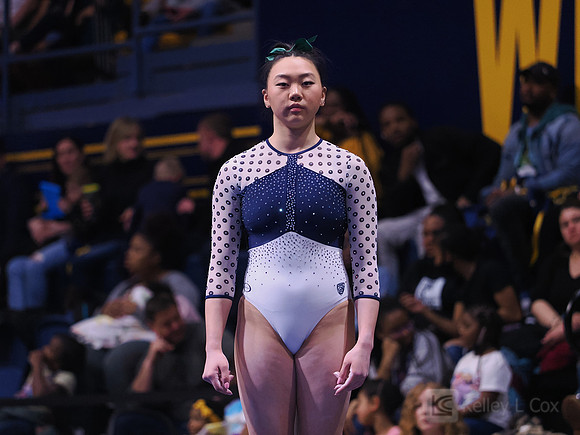 Andi Li