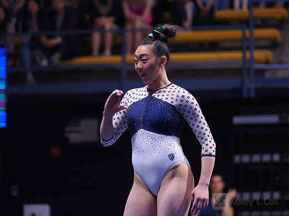 Andi Li