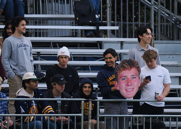 Fans
