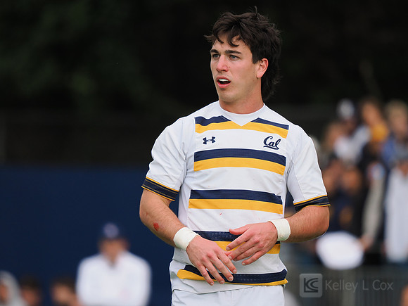 Evan Weigold