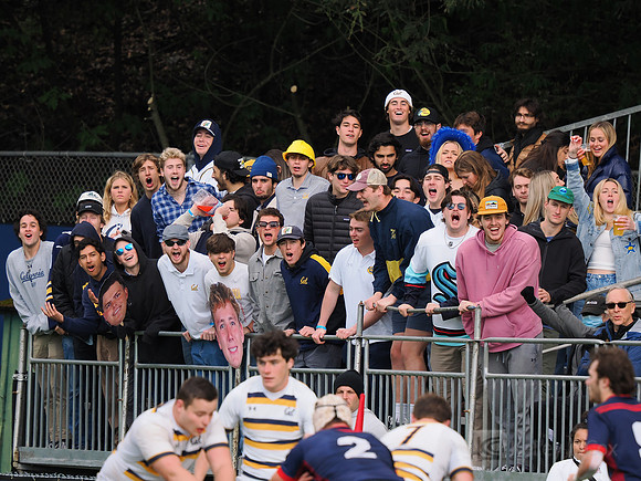 Fans