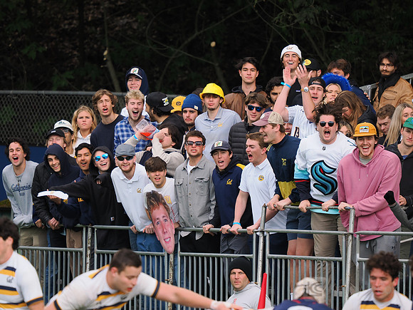 Fans