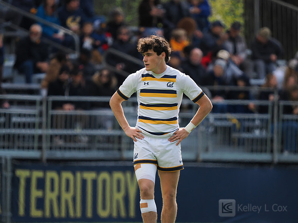 Kealan O'Connell