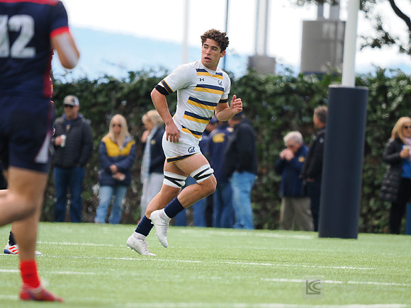 Luke Freeman