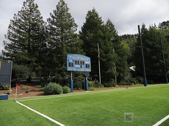 Stadium view