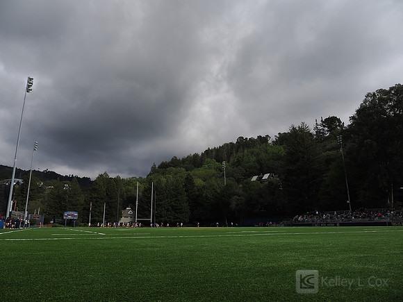 Stadium View