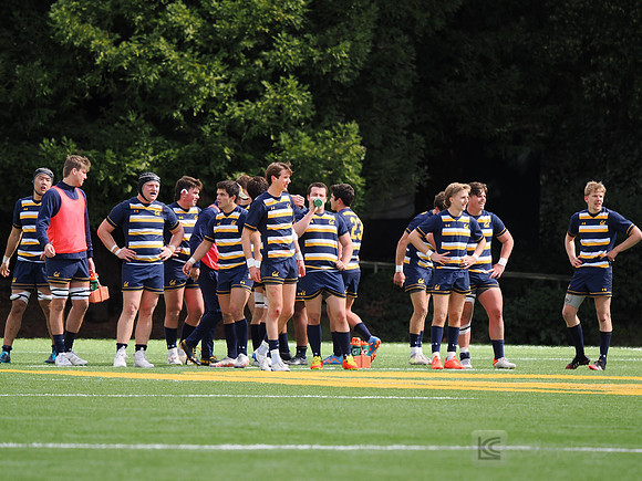 Team