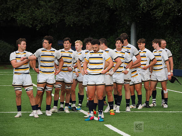 Team
