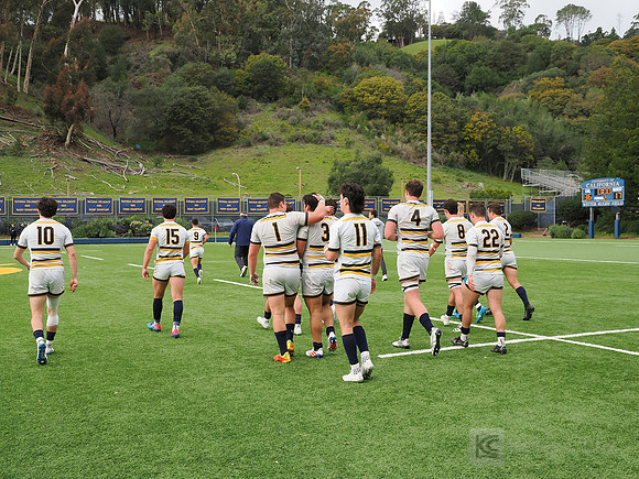 Team