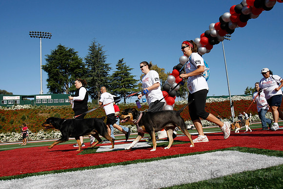 Hayward Hills 5K
