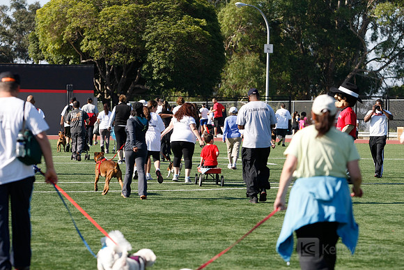 Hayward Hills 5K