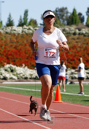Hayward Hills 5K