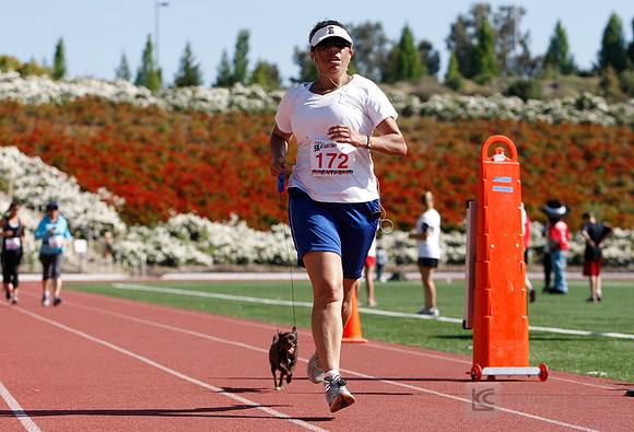 Hayward Hills 5K