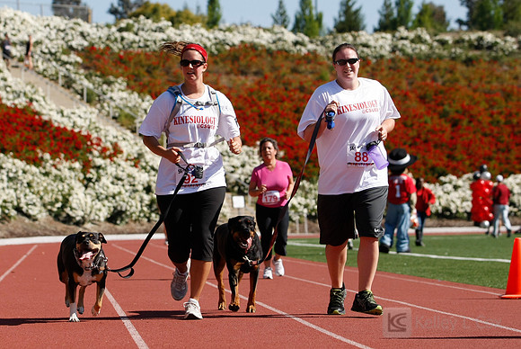 Hayward Hills 5K