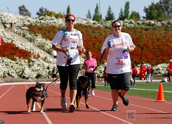 Hayward Hills 5K