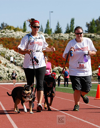 Hayward Hills 5K