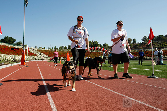 Hayward Hills 5K