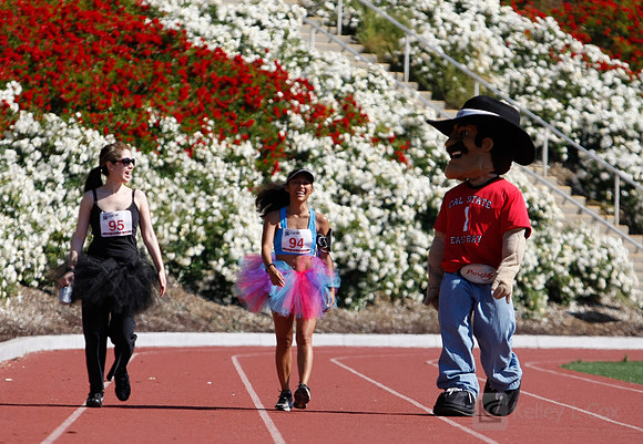 Hayward Hills 5K