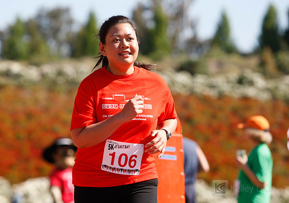 Hayward Hills 5K